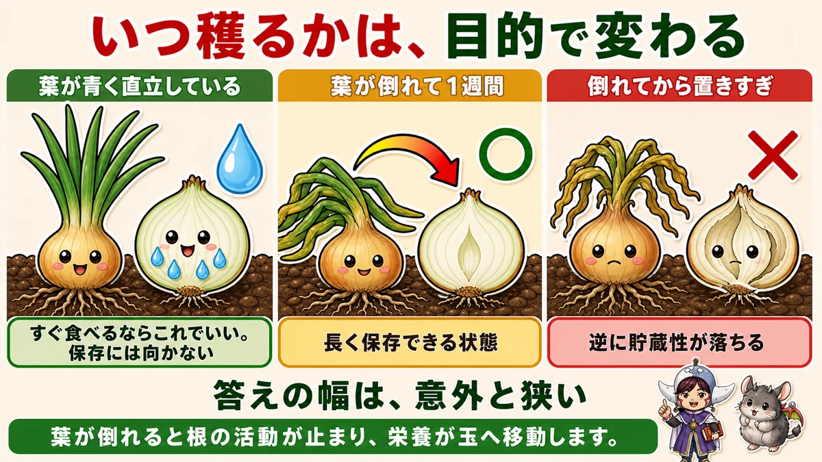 倒れる前と倒れて1週間のちがい