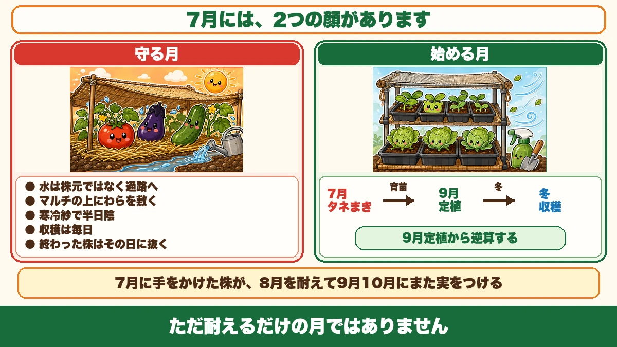7月の2つの顔