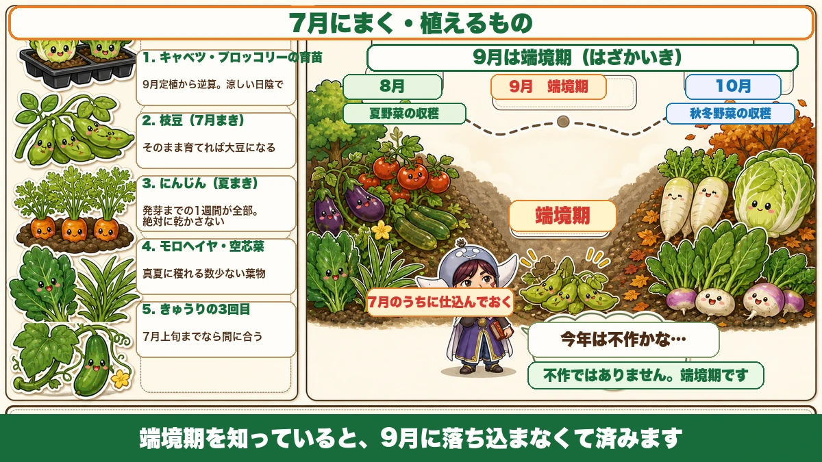 7月にまくもの