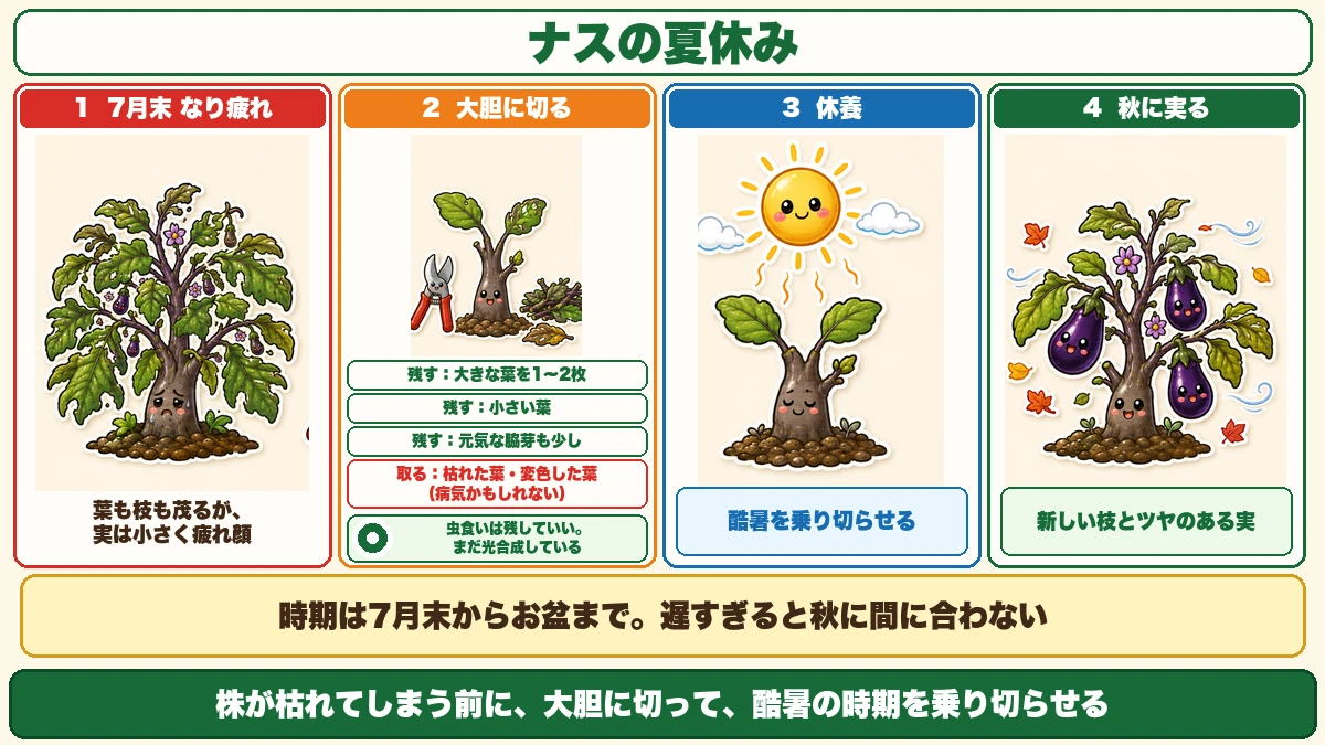 ナスの夏休み