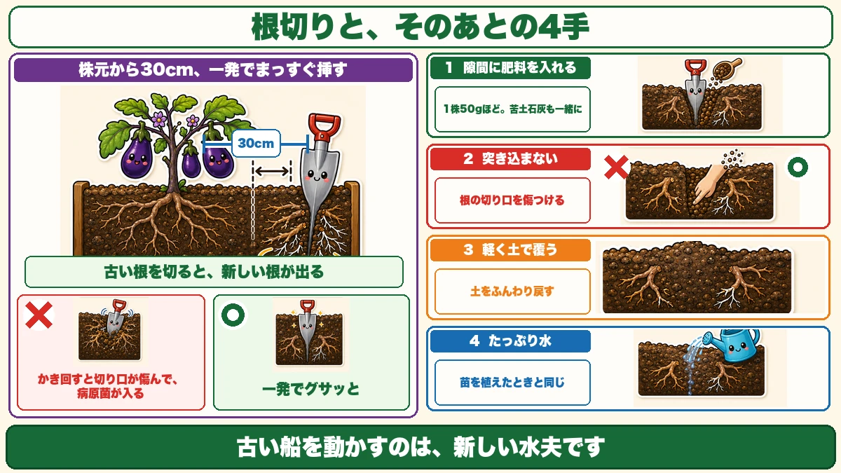 根切り