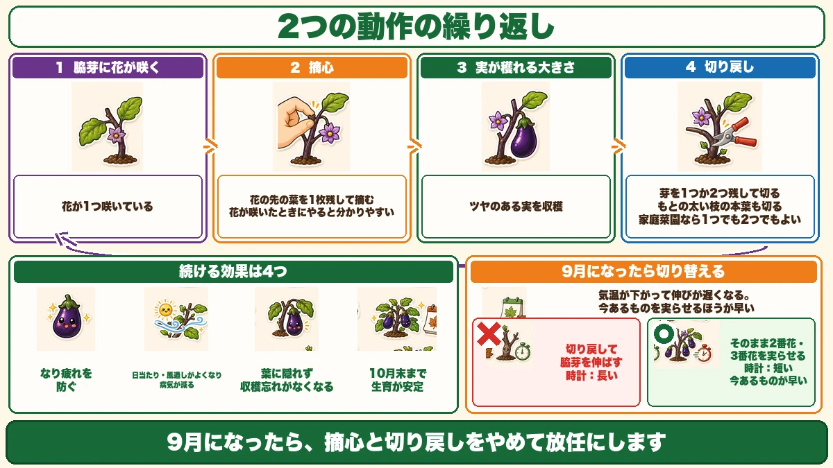 切り戻し剪定