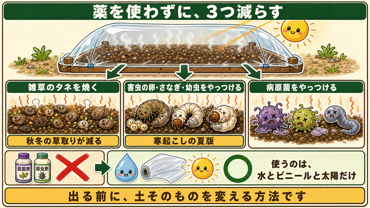 効果3つ