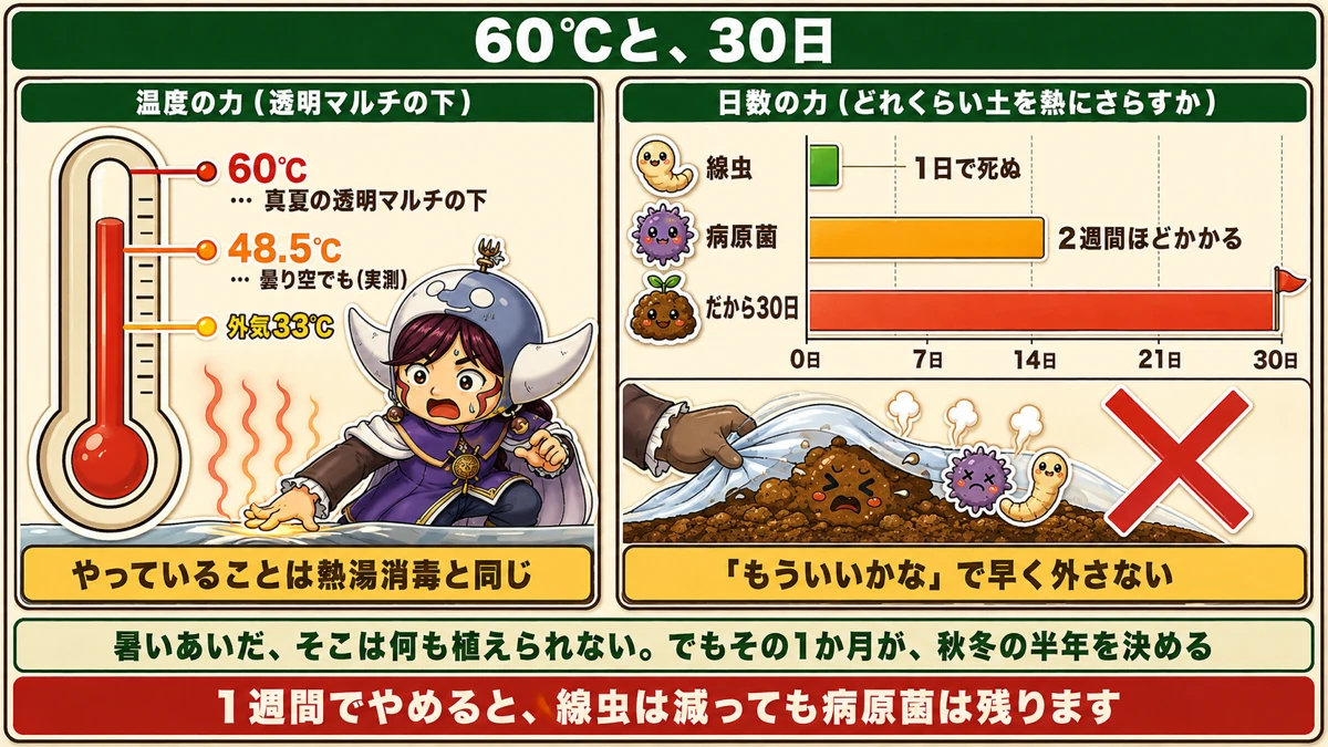 温度と日数
