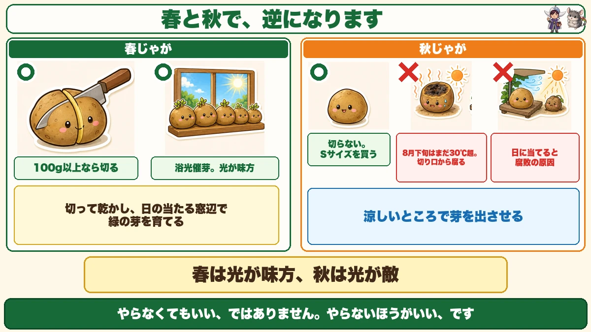 春と秋の逆転