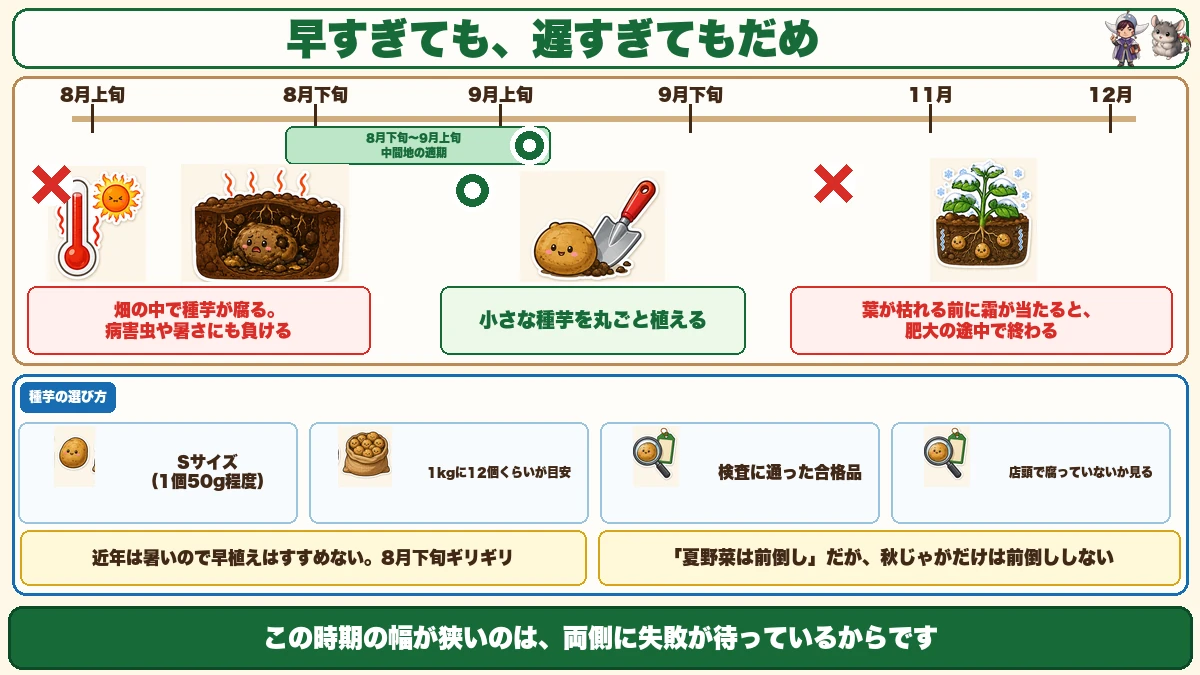 植え時期の幅