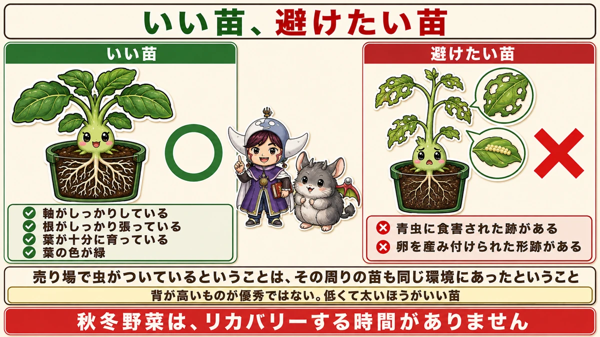 いい苗と悪い苗