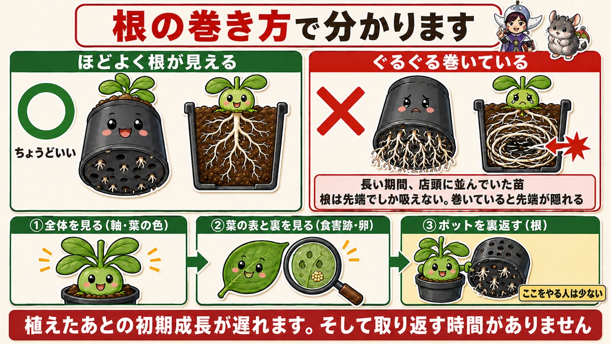 ポットの裏を見る