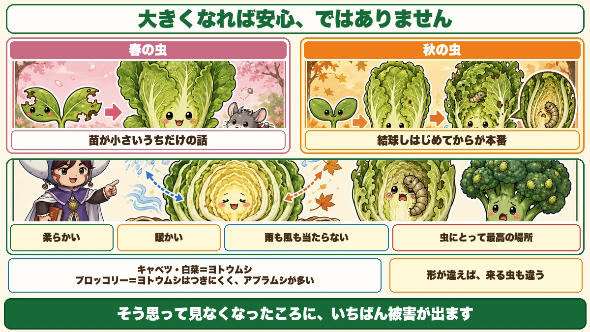 春と秋で逆