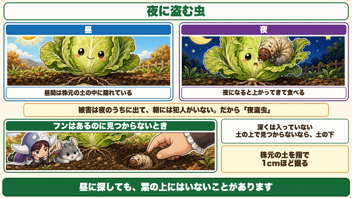 昼と夜