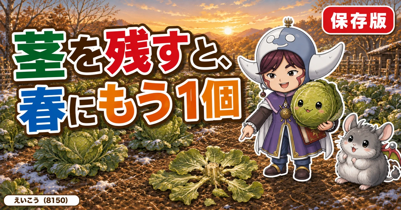 茎を残すと春にもう1個🥬