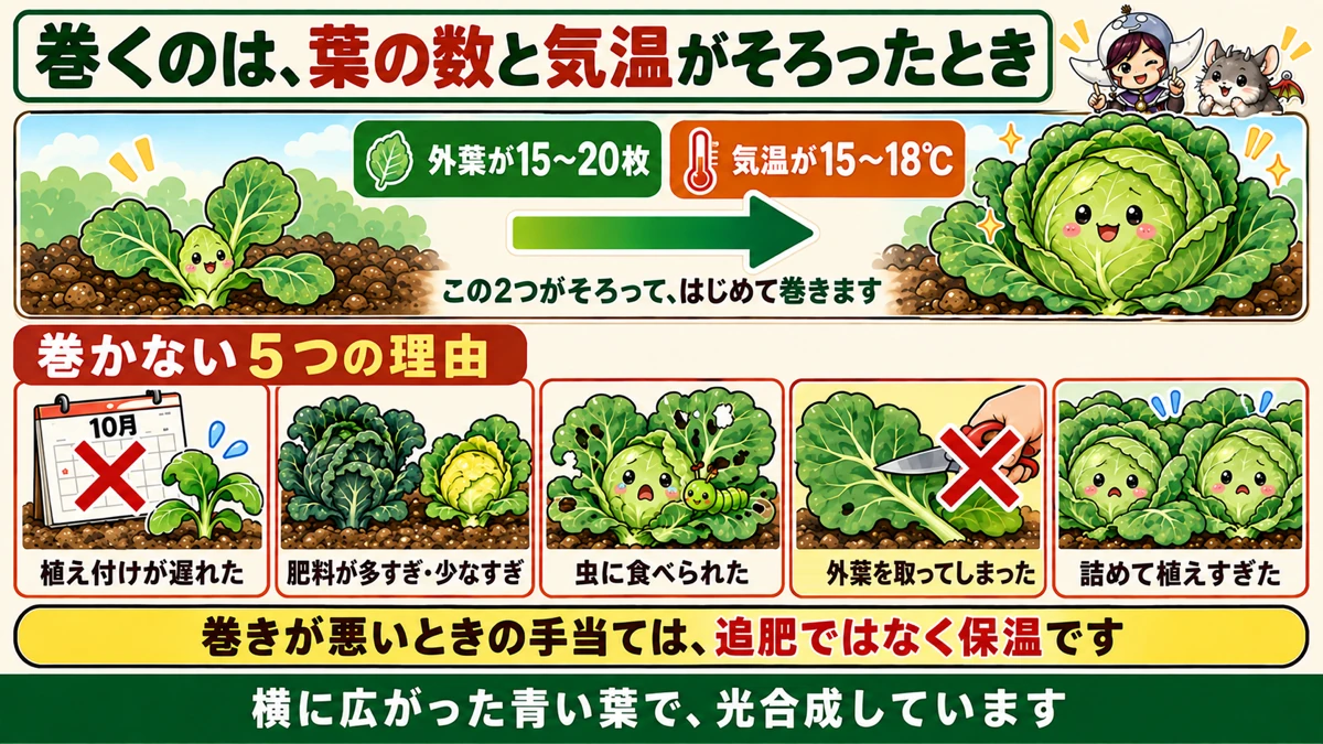 巻かない5つの理由