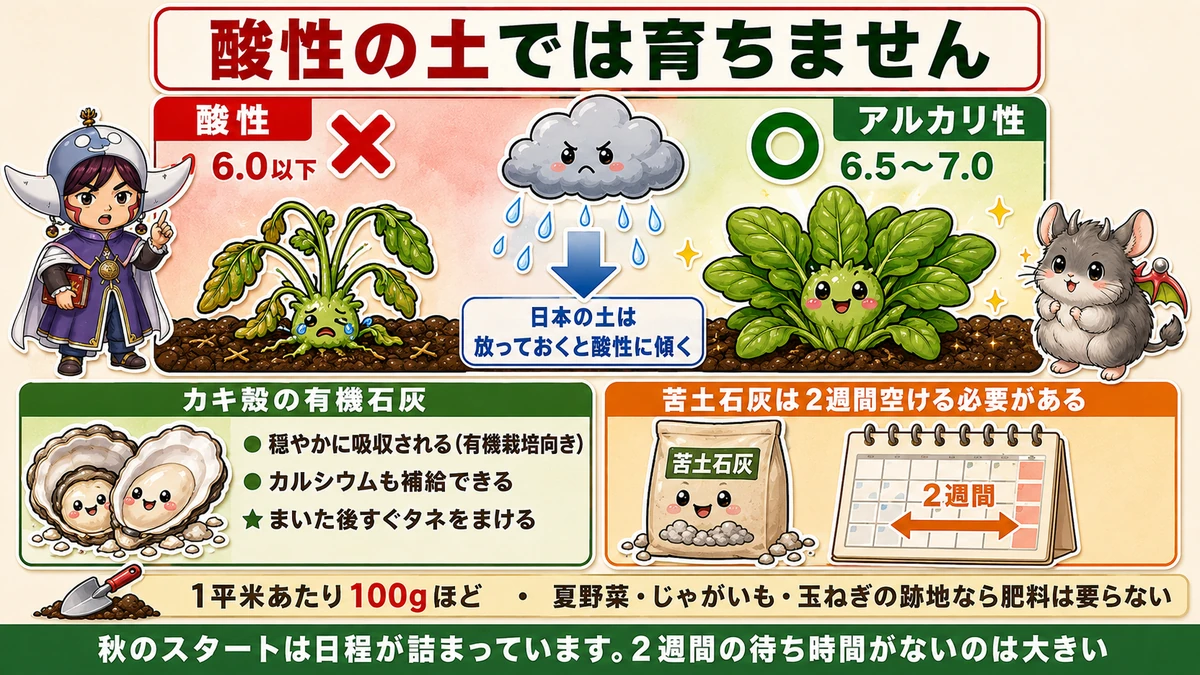 土づくり