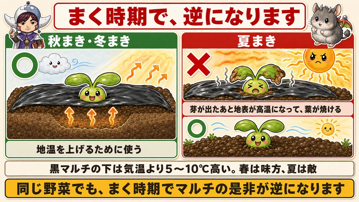 夏はマルチを使わない