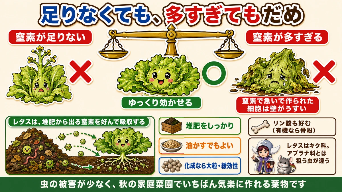 窒素はゆっくり