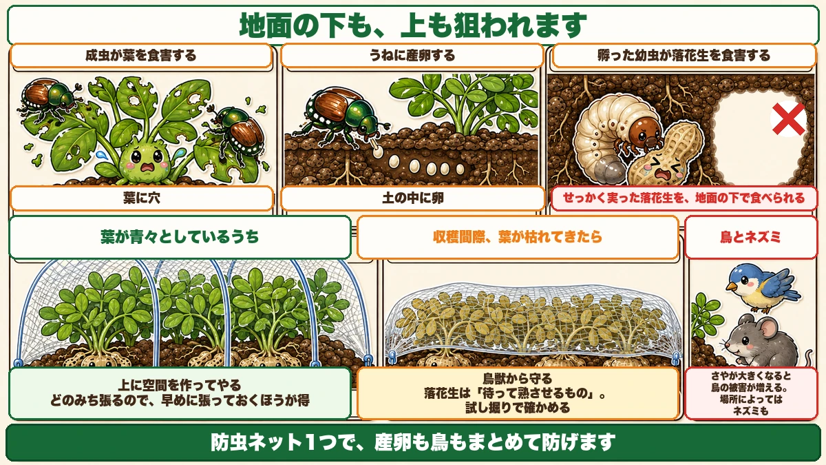 守る