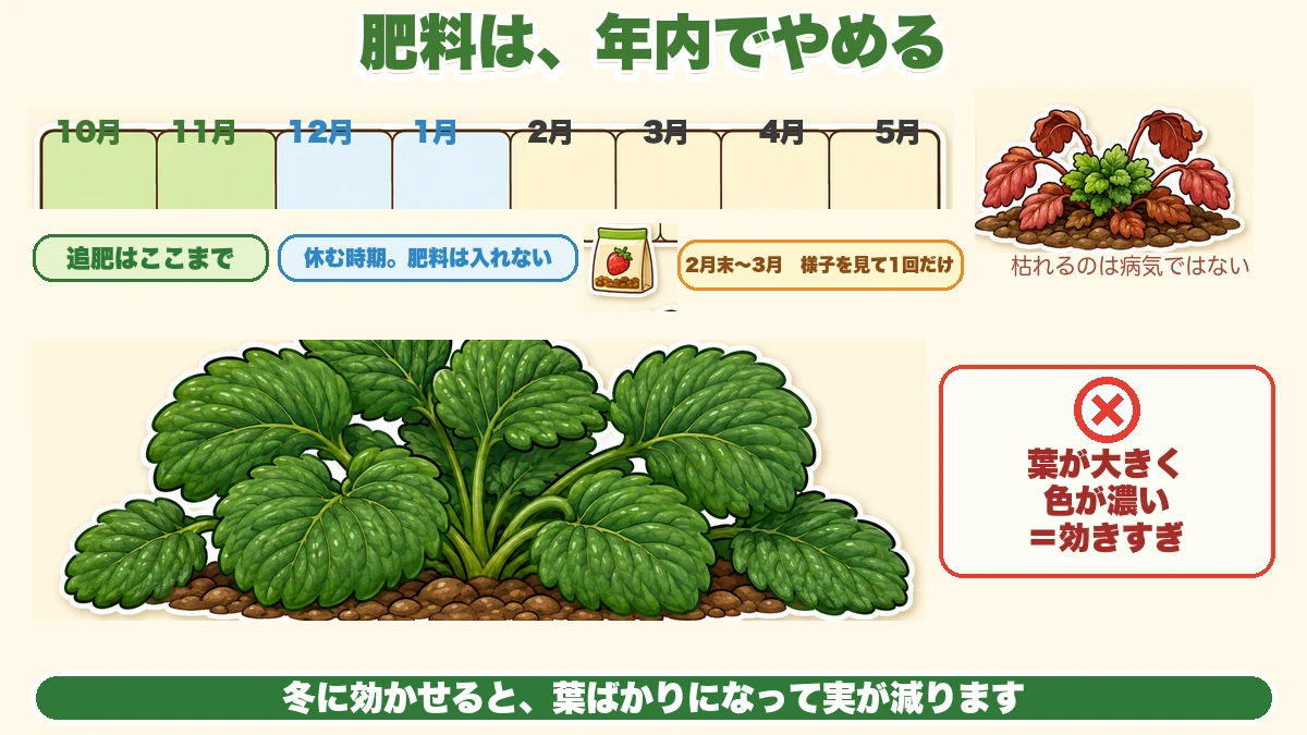 追肥を止める時期