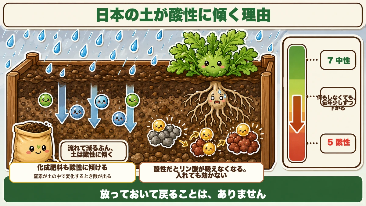 雨で流れる