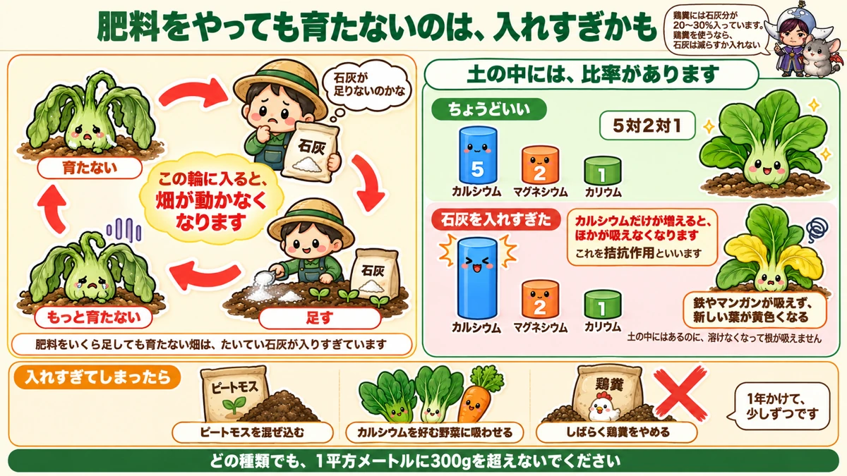 入れすぎが止まらない