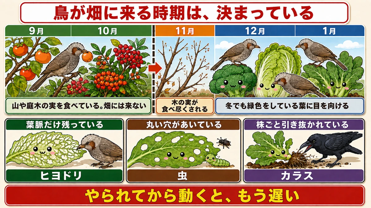 山の実がなくなる