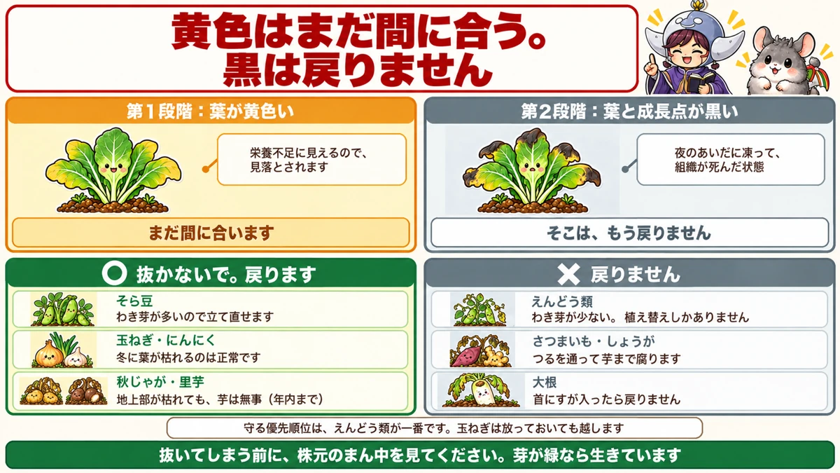 黄色はまだ間に合う