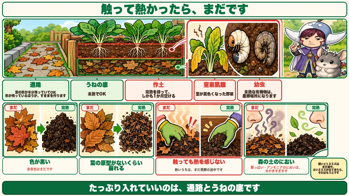 完熟の見分け方