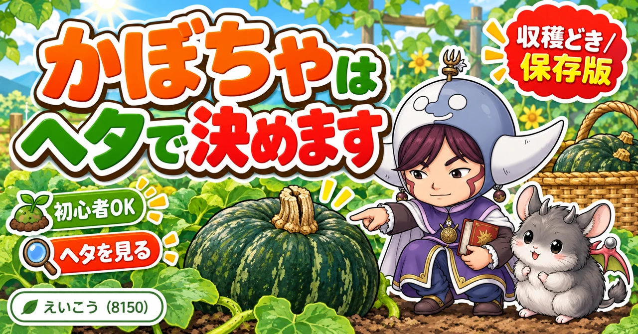 かぼちゃはヘタで決めます🎃 縦に割れたら、収穫していい