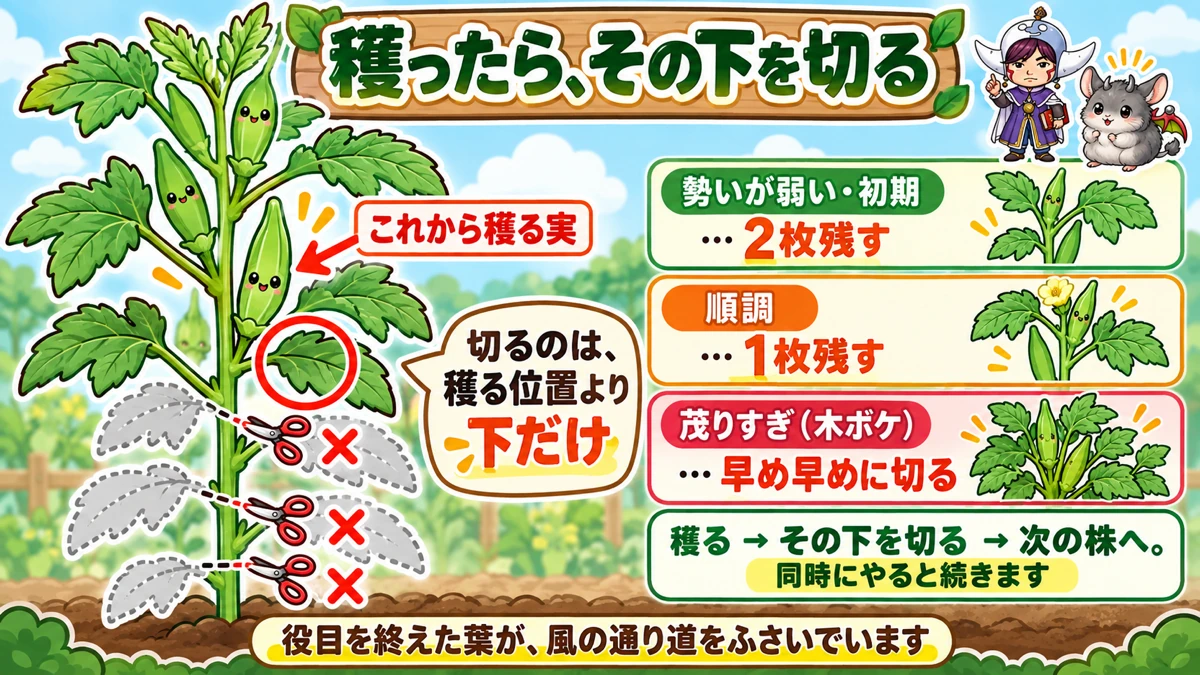 実の下1枚を残して切る