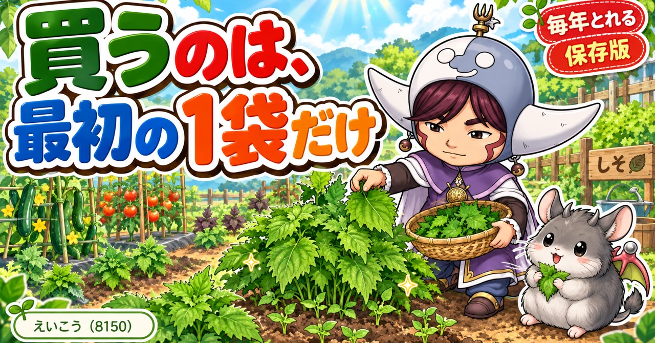 しそは、こぼれ種で毎年生えてきます🌿 買うのは最初の1袋だけ