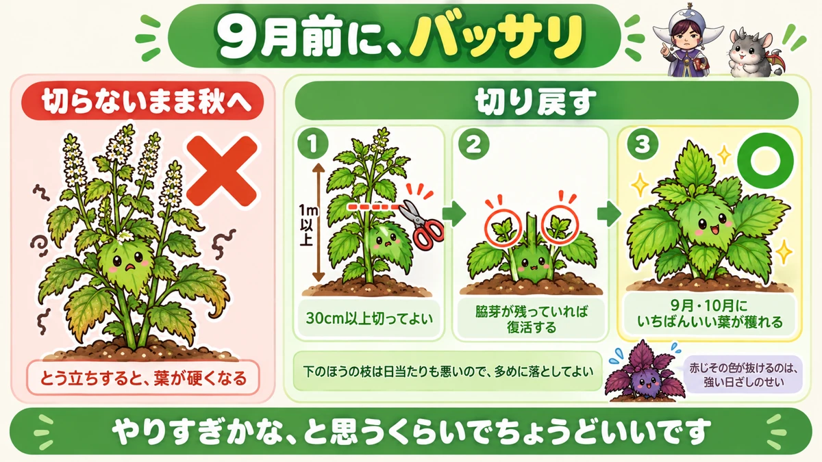 切り戻し