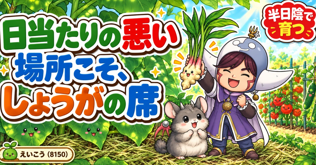 しょうがは、夏に一度穫れます🌱 半日陰でいい、めずらしい野菜