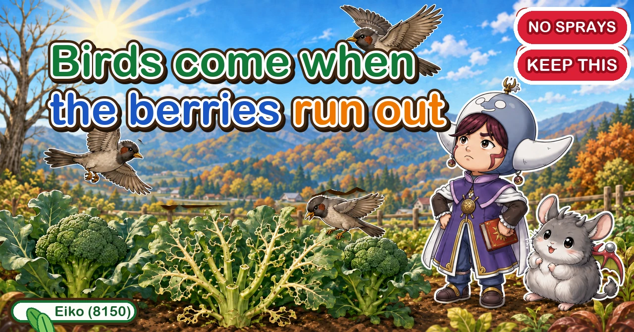 Birds arrive the week the wild berries run out