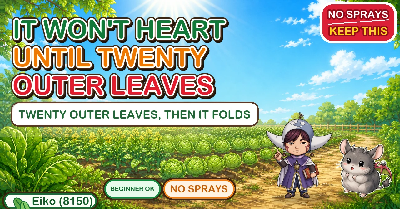 It won't heart until it has twenty outer leaves