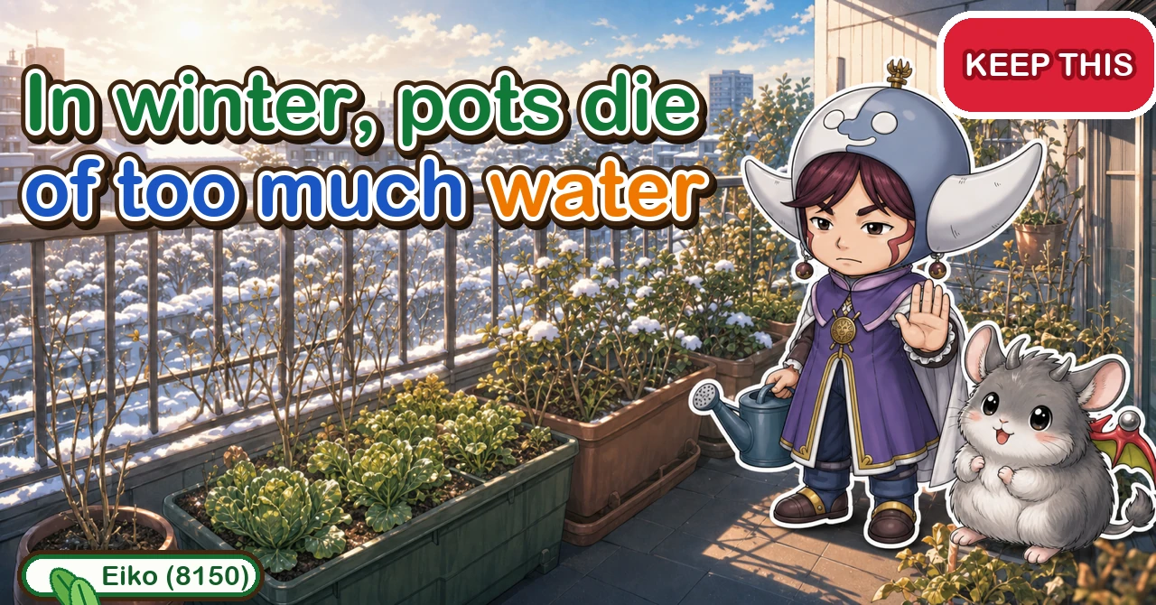 In winter, containers die of too much water