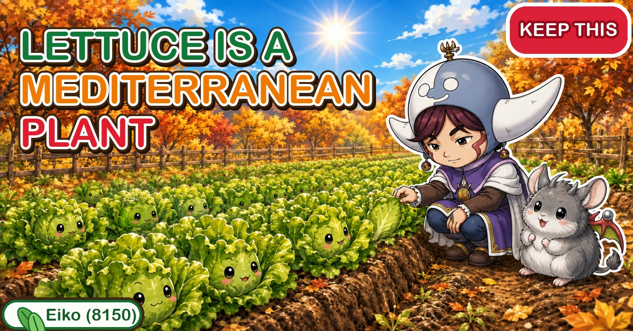 Lettuce is a Mediterranean plant