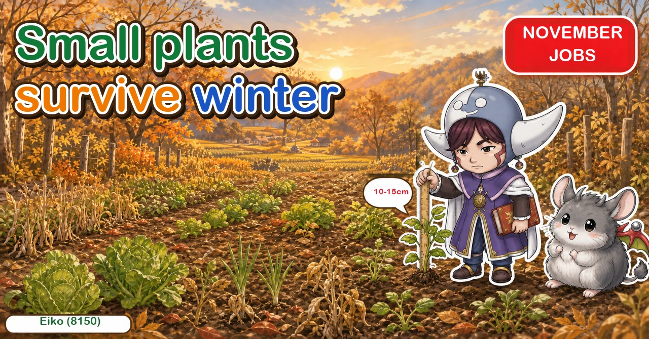 What to sow in November