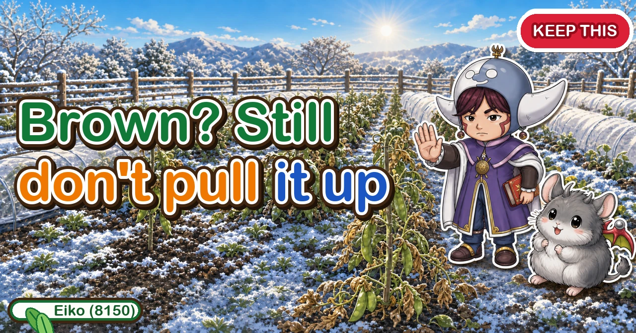 Don't pull it up when it browns
