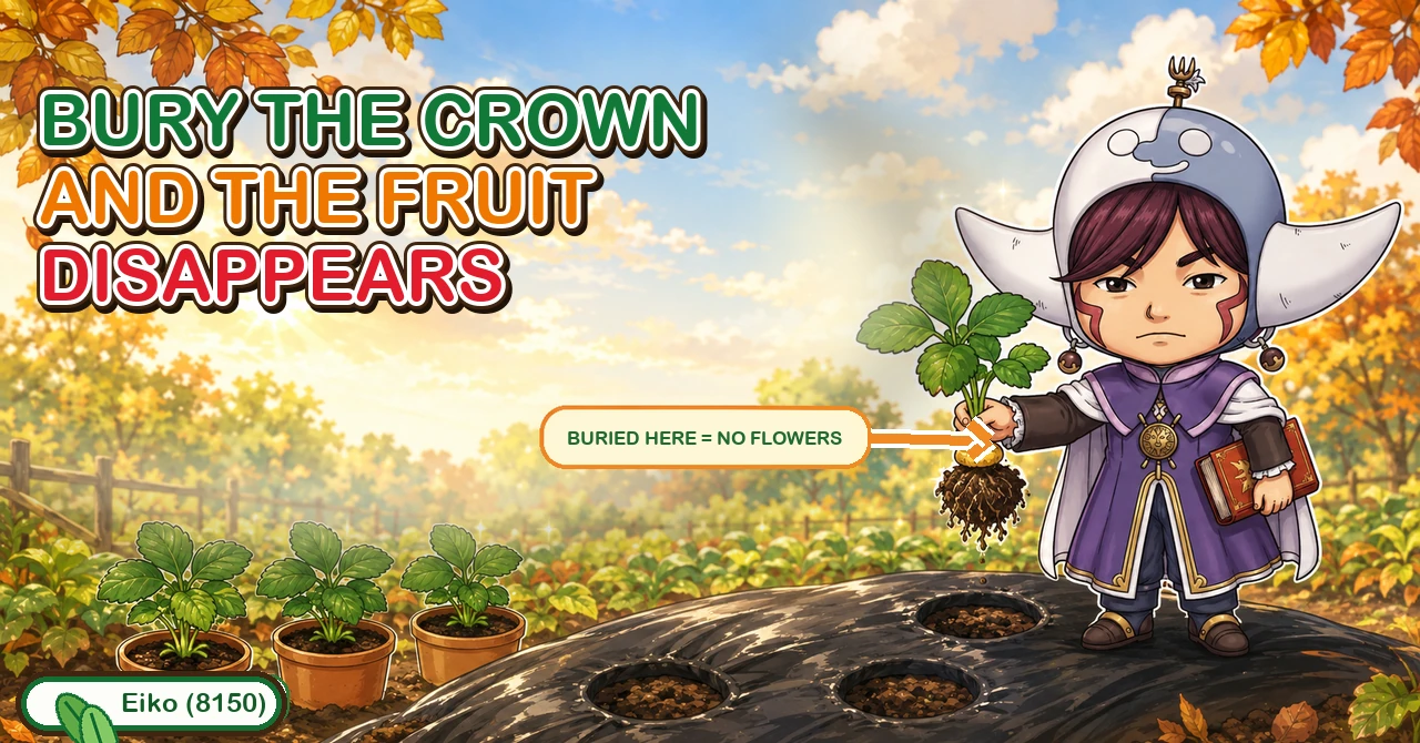 Bury the crown and the fruit disappears