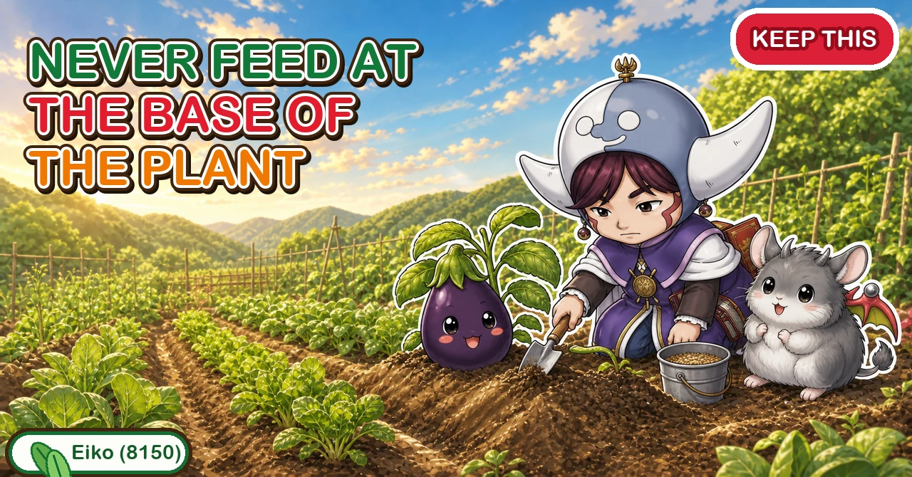 Never feed at the base of the plant