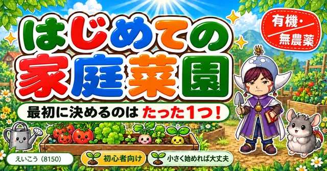 【初心者向け】はじめての家庭菜園🌱