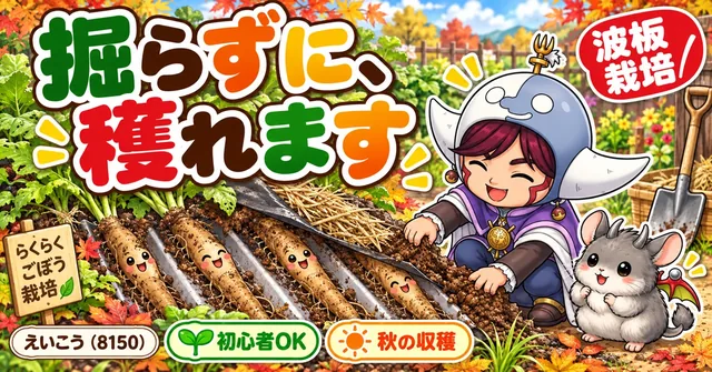 ごぼうは、掘らずに穫れます