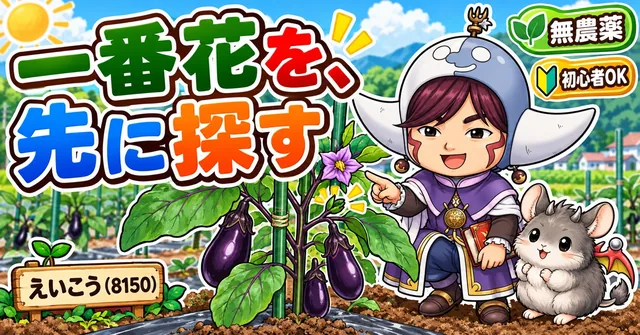 なすの育て方🍆 秋まで穫る