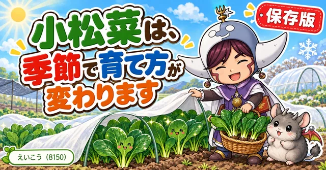 小松菜の育て方🥬 季節で変わる
