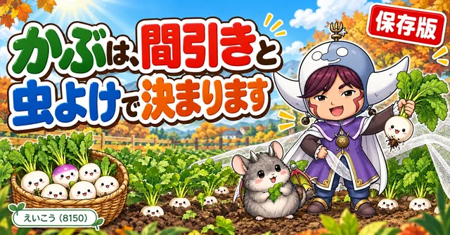 かぶの育て方🌱 間引きと虫よけ