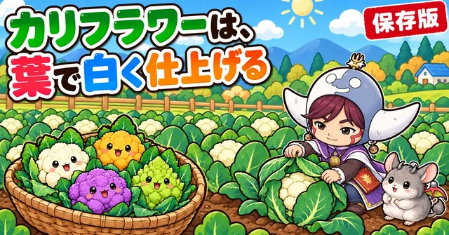 カリフラワーの育て方🥦