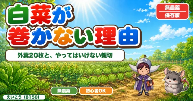 【保存版】白菜が巻かない本当の理由🥬