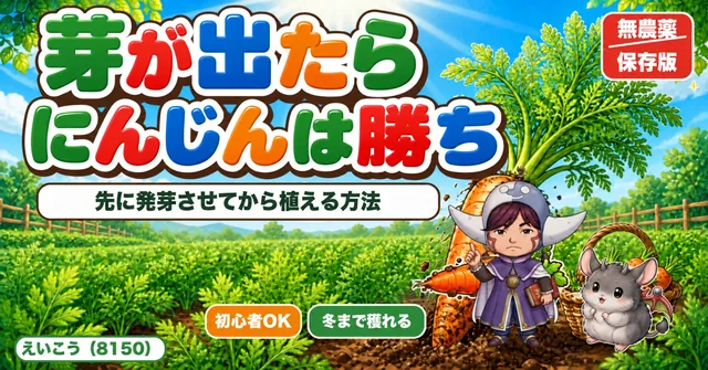 にんじんは芽が出てから植えます🥕