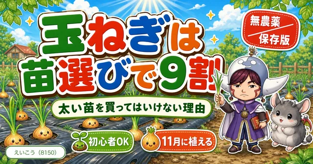 【保存版】玉ねぎは苗選びで9割決まる🧅