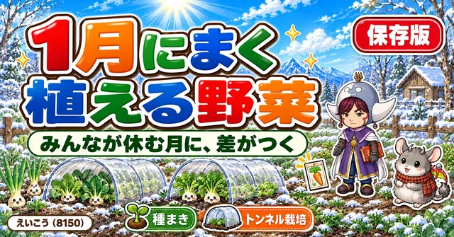 【1月号】みんなが休む月に差がつく🌱