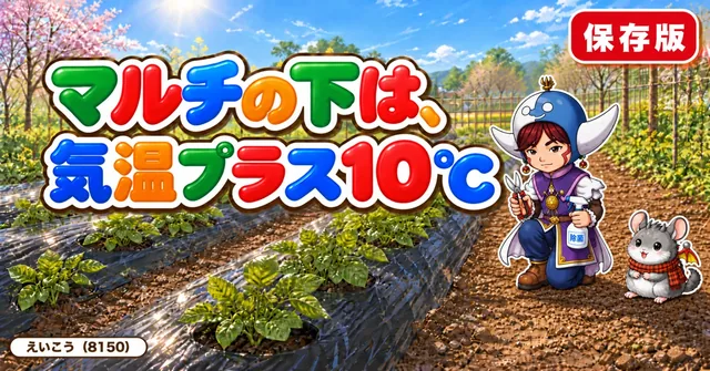 マルチの下は気温プラス10℃🥔